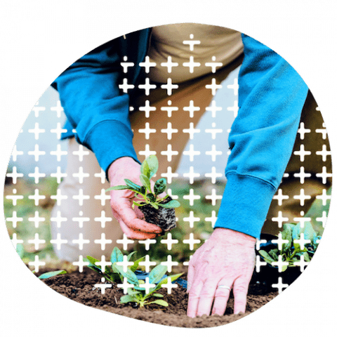 planting sustainability planting sustainability