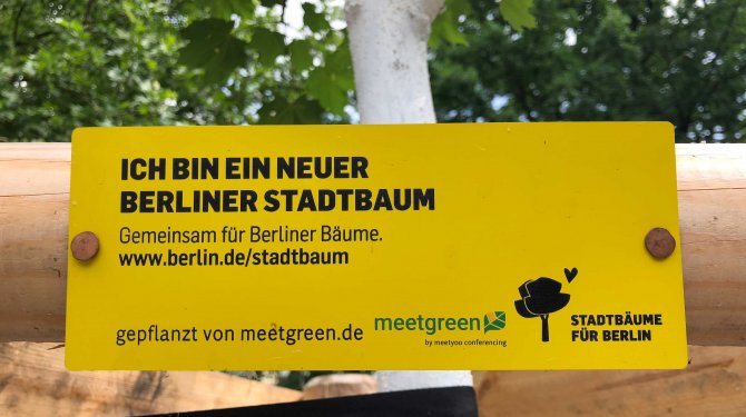 Stadtbaumkampagne von meetgreen für unsere Umwelt